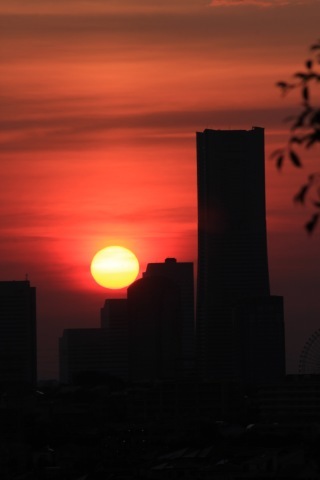 a0248459_15582877.jpg