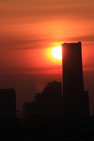 a0248459_15585963.jpg