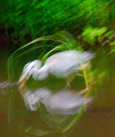 a0248459_16023380.jpg