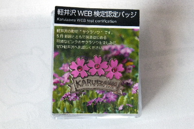 e0088260_17523360.jpg