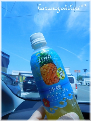 d0337265_6345490.jpg