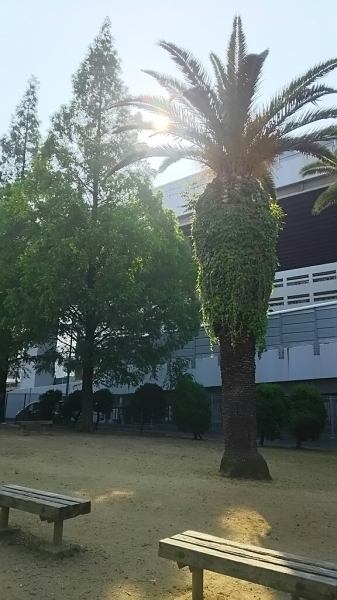 f0152875_08482928.jpg