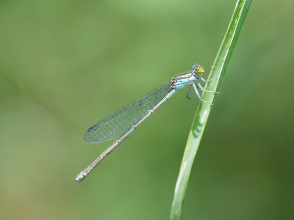a0268377_16510138.jpg