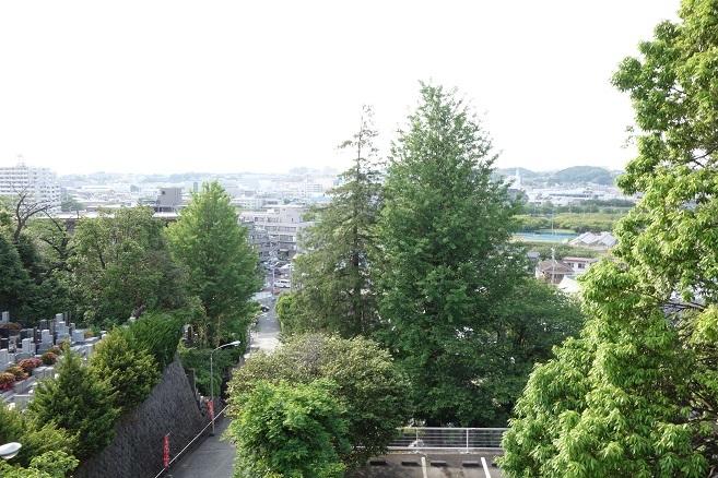 d0183387_09462185.jpg