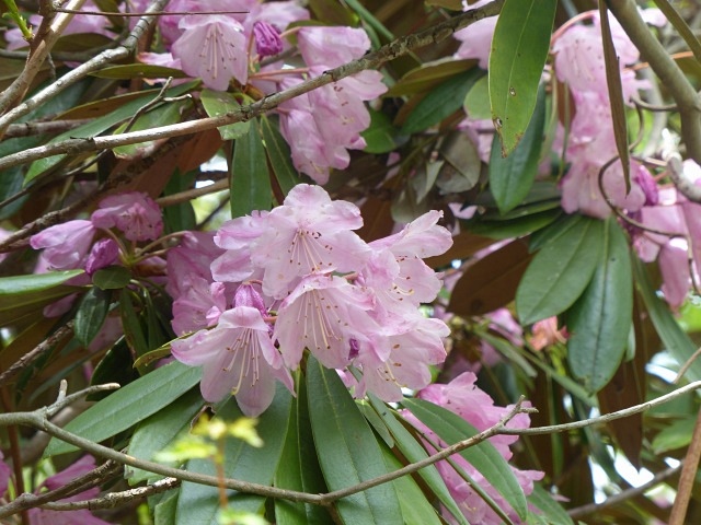 f0357487_22103591.jpg