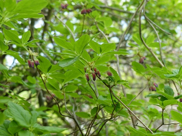 f0357487_22135062.jpg