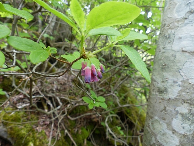 f0357487_2214664.jpg