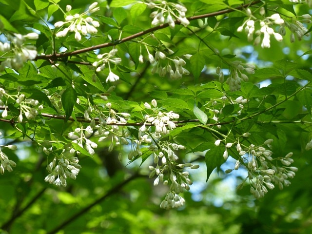 f0357487_22361910.jpg