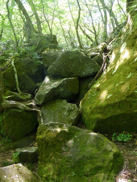 f0357487_22382732.jpg