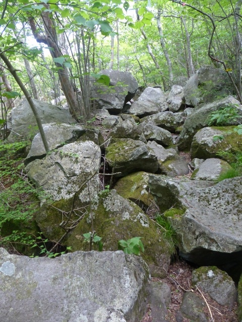 f0357487_22392040.jpg