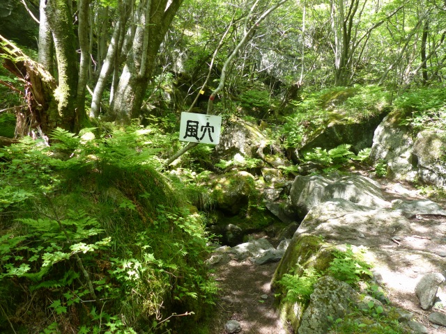 f0357487_22395837.jpg