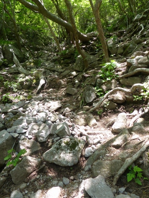f0357487_22435782.jpg