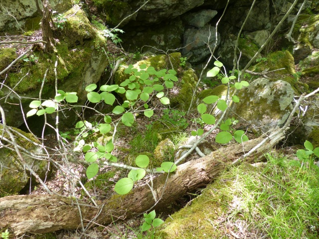 f0357487_22542949.jpg