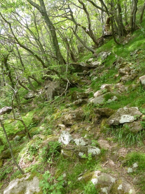 f0357487_22554014.jpg