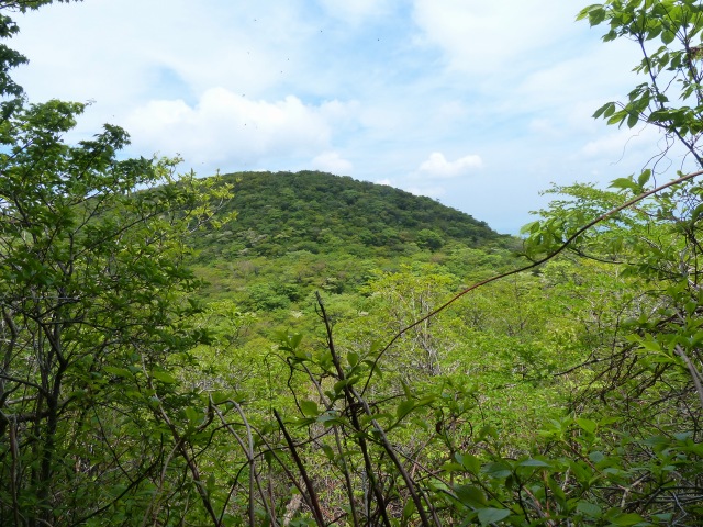 f0357487_2255737.jpg