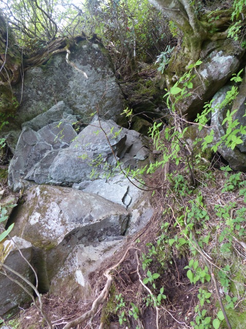 f0357487_22575678.jpg