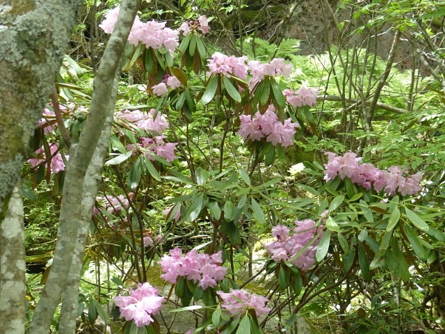 f0357487_2294125.jpg