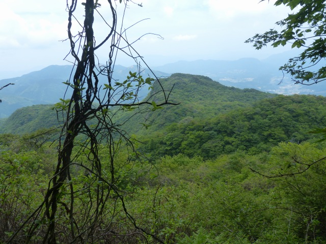 f0357487_2373110.jpg