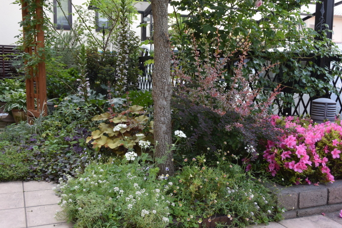 b0230589_08433816.jpg