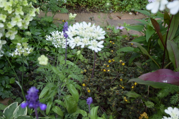 b0230589_08510601.jpg