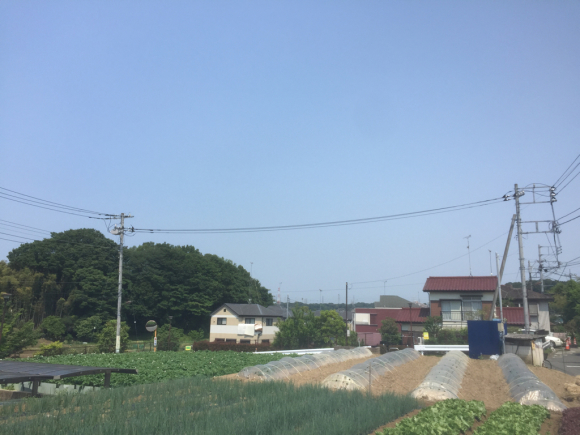 d0135694_13123959.jpg