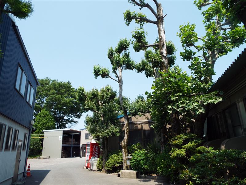 c0108198_1623419.jpg