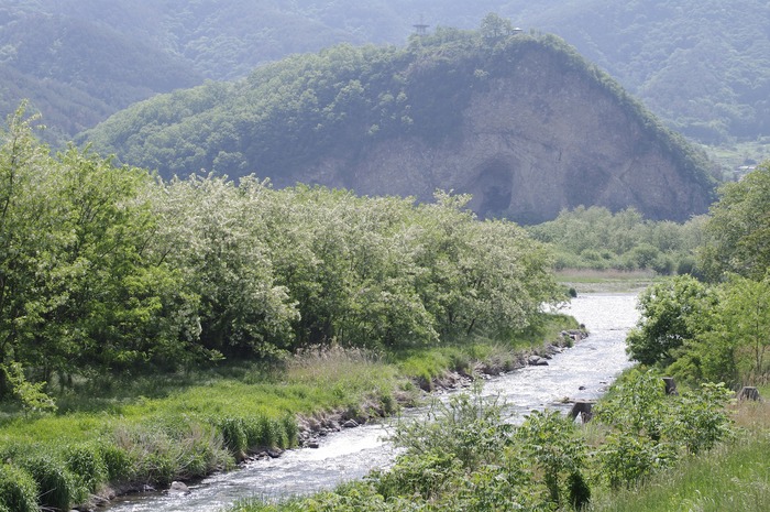f0220698_11433489.jpg