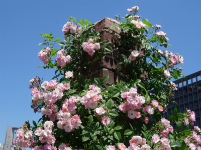 c0125501_04323.jpg