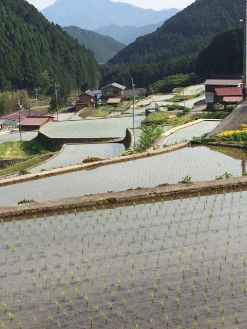 b0095802_10243430.jpg