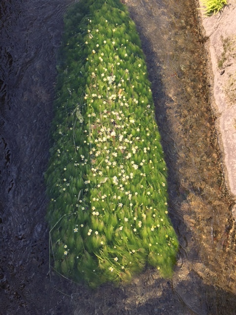 b0095802_10244290.jpg