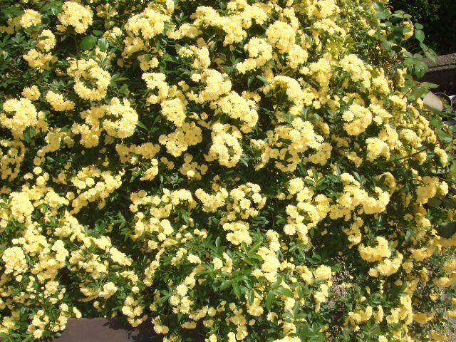 c0062603_11003320.jpg
