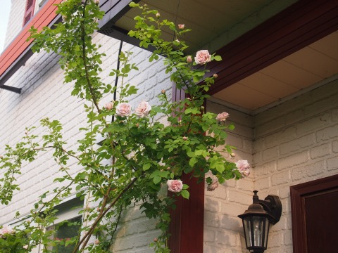 c0117007_23511564.jpg