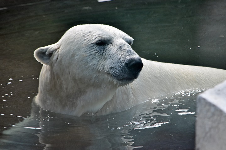 a0151913_4223263.jpg