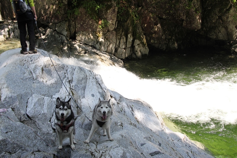 b0207615_23225200.jpg