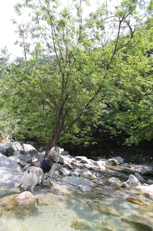b0207615_23234741.jpg