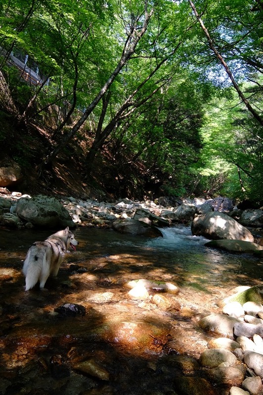 b0207615_23242187.jpg