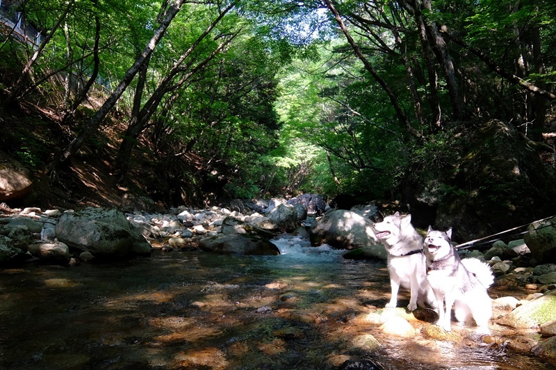 b0207615_23242830.jpg