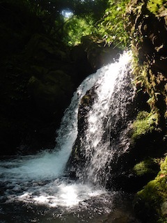 c0359615_22070990.jpg