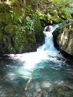 c0359615_22075090.jpg