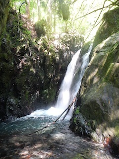 c0359615_22081059.jpg