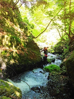 c0359615_22085563.jpg