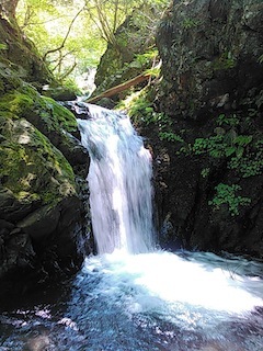 c0359615_22091171.jpg