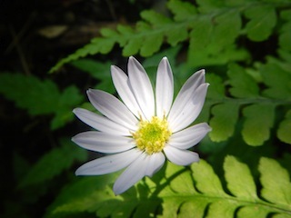 c0359615_22093965.jpg