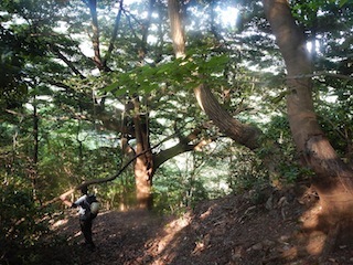 c0359615_22103489.jpg