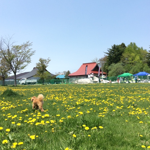 e0052716_12351251.jpg