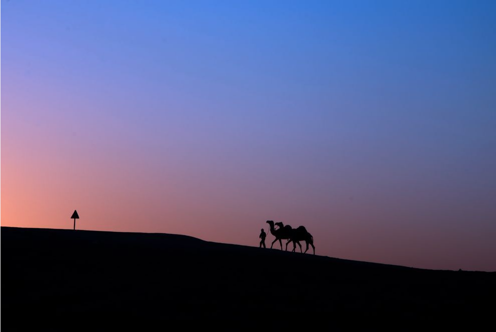 b0150018_10274740.png