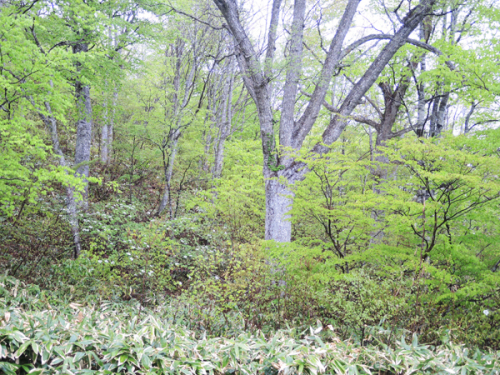 c0346119_22291720.jpg