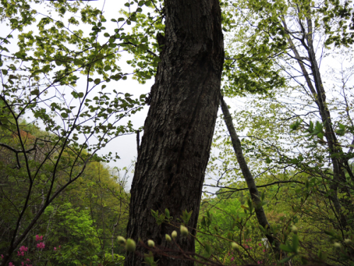 c0346119_22492153.jpg
