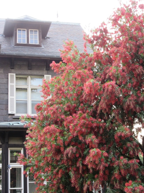 a0248728_211154.jpg