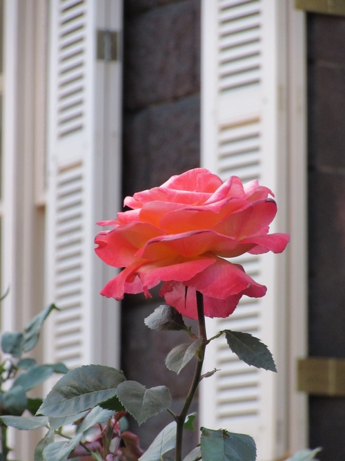 a0248728_21251549.jpg